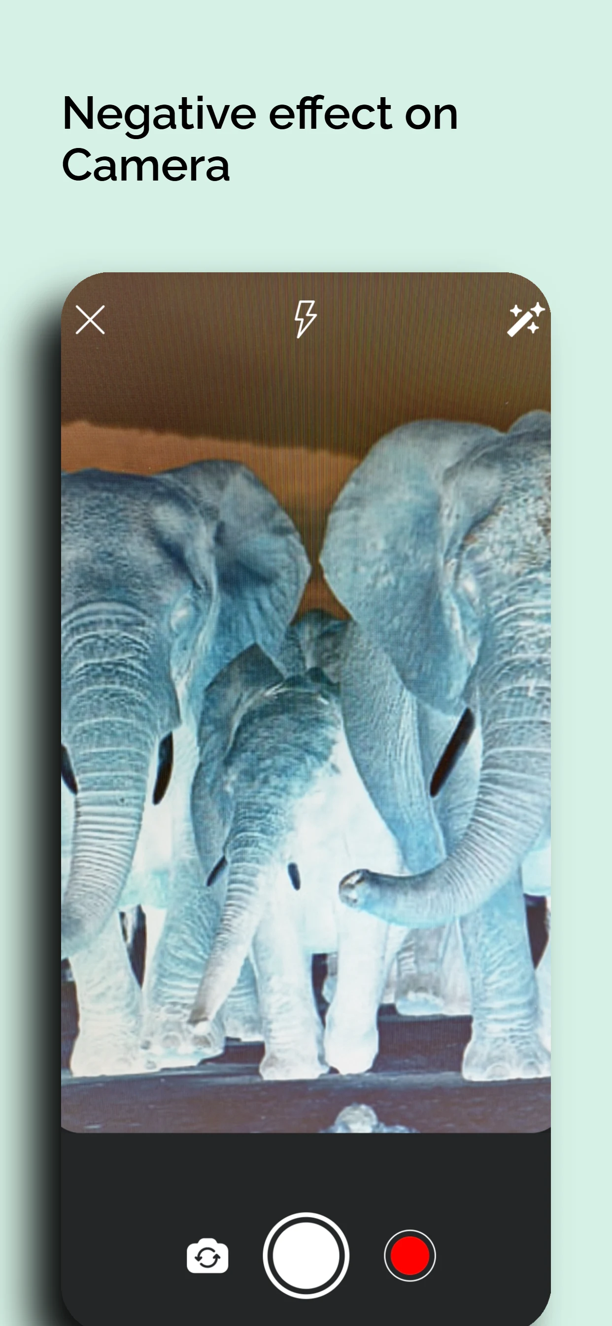 Negative: Image & Video Effect screenshot